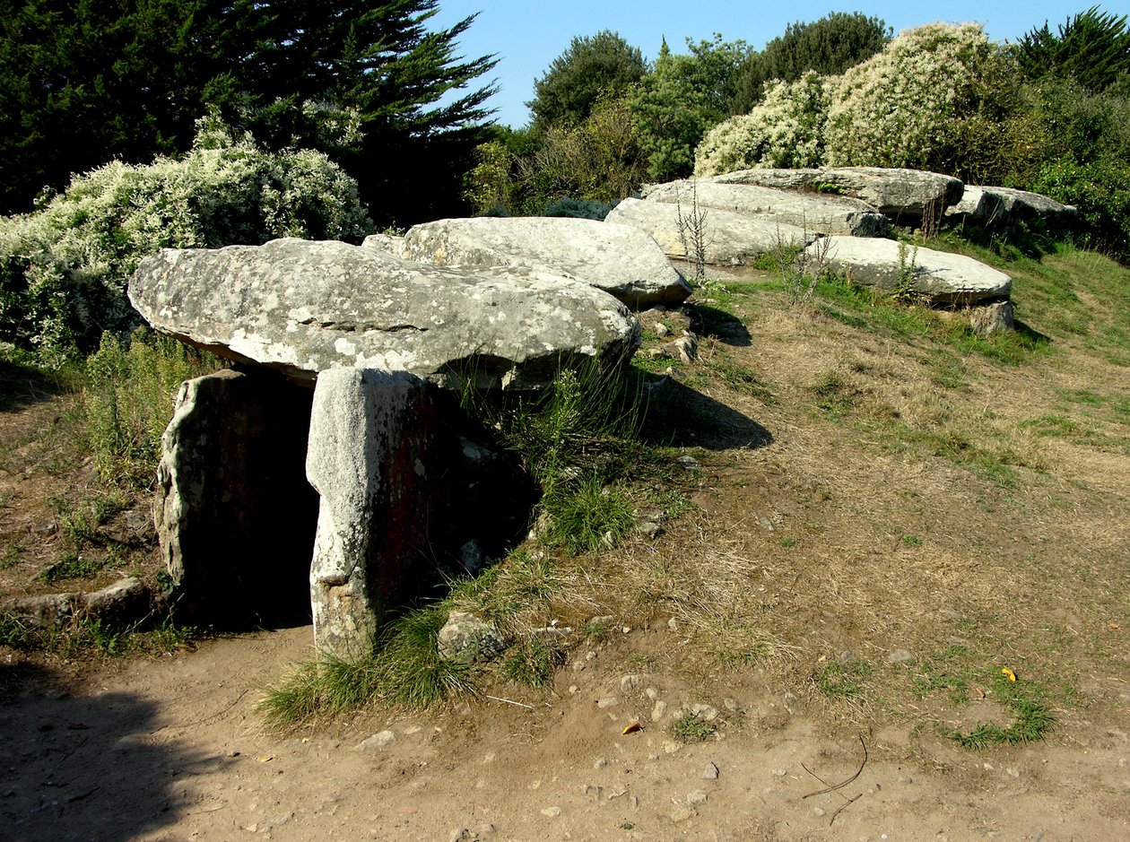Ploché kameny, cca 3500 př.n.l od Megalithic