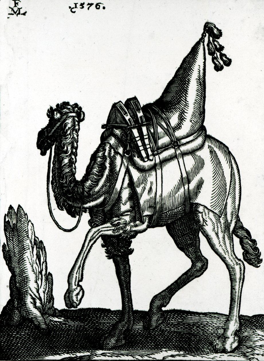Velbloud (dřevořez) od Melchior Lorck