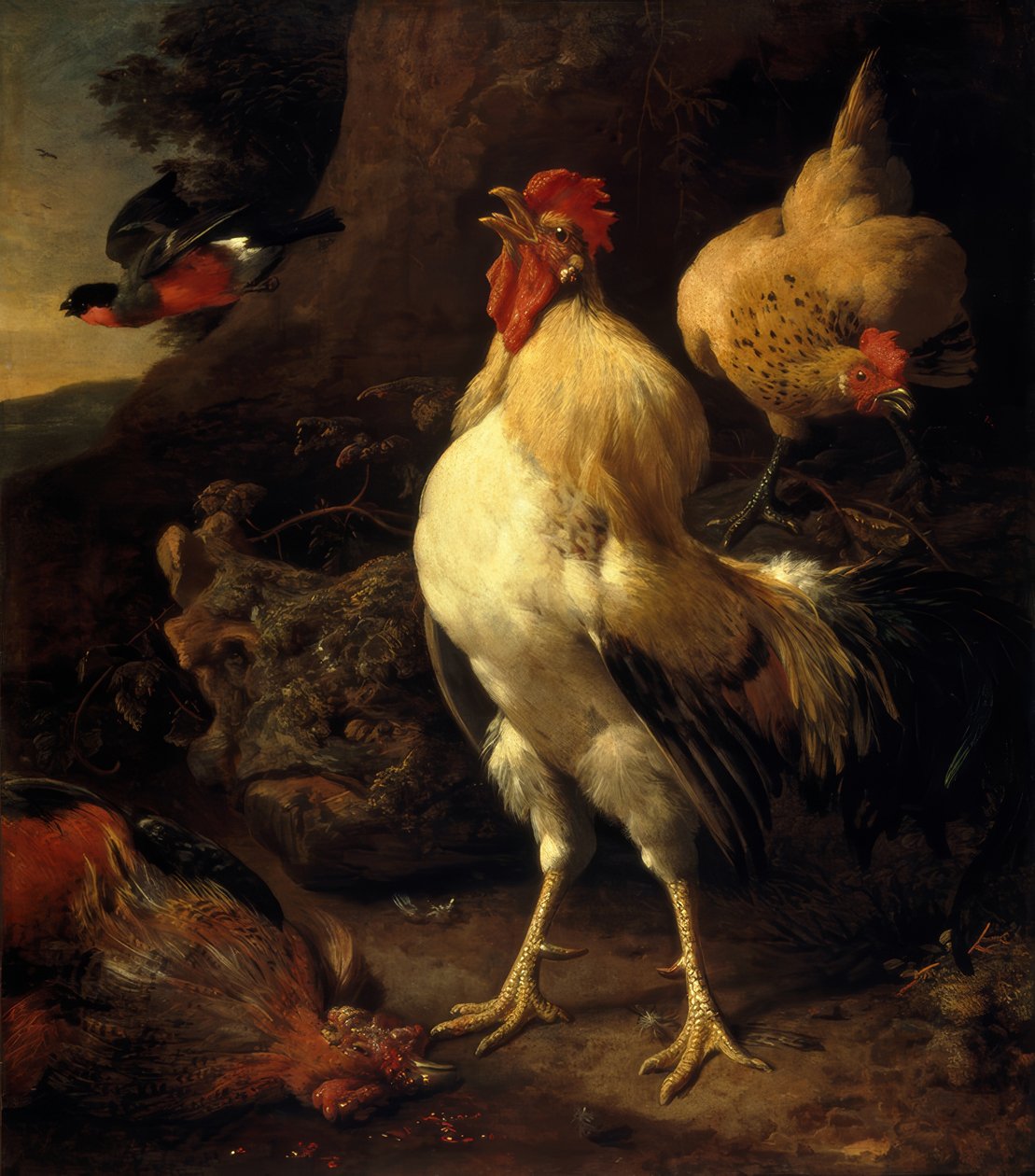 M. de Hondecoeter, Vítězný kohout od Melchior de Hondecoeter