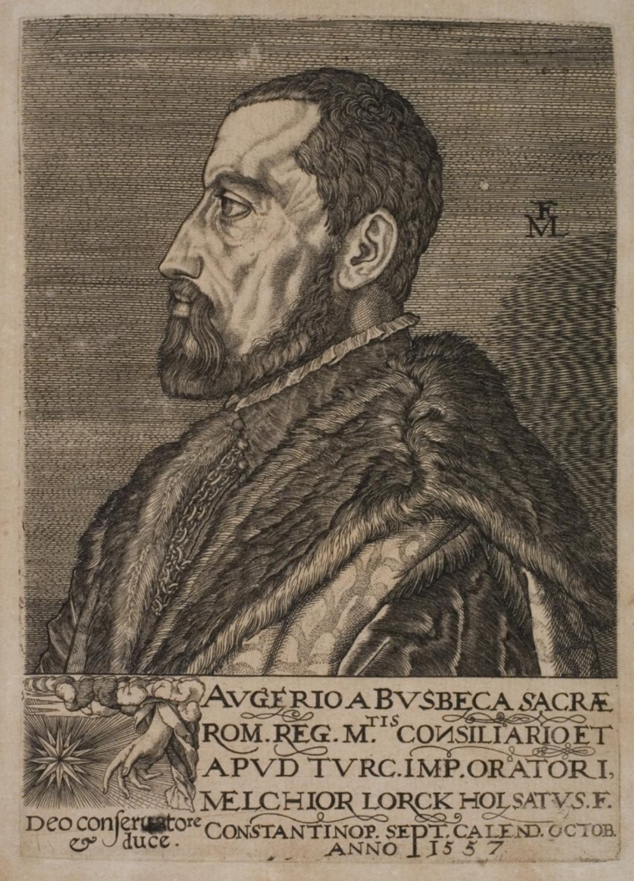 Portrét Ogiera Ghiselina de Busbecqa, císařského vyslance. od Melchior Lorck