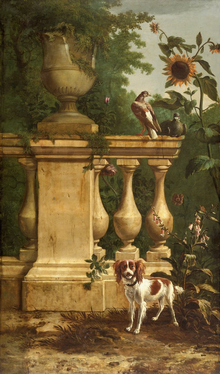 Holubi a pes v zahradě, c1660-1690. od Melchior d
