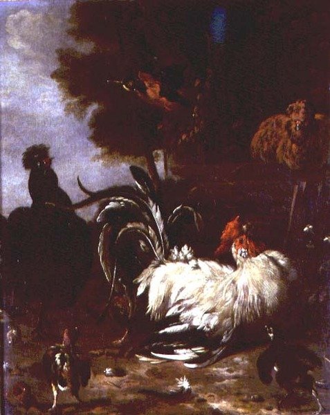 Kohout a další drůbež v zalesněné krajině od Melchior de (follower of) Hondecoeter