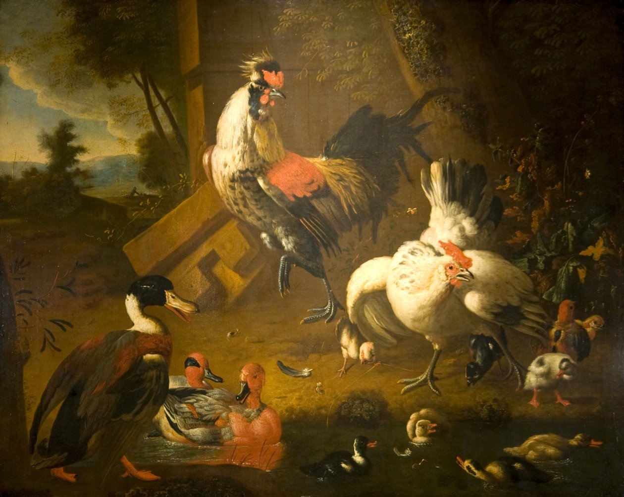 Kohout se slepicí a třemi kachnami od Melchior de (studio of) Hondecoeter