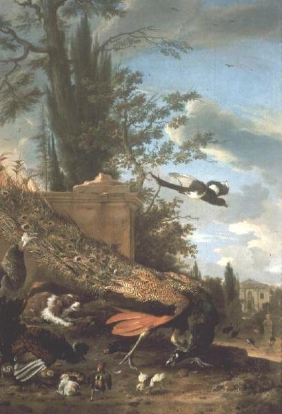 Páv a španěl v zahradě vily od Melchior de Hondecoeter