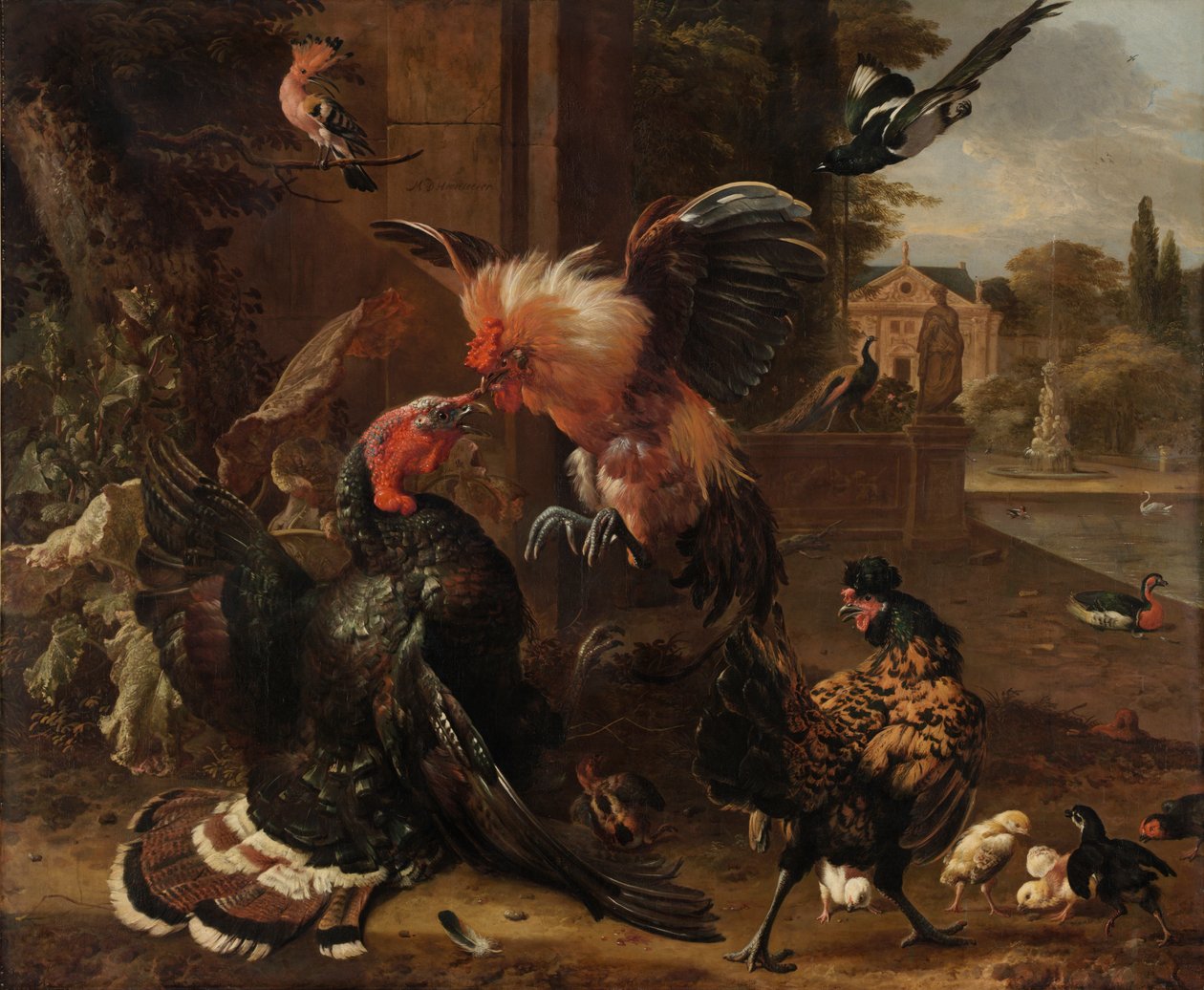 Boj kohouta a krůty od Melchior de Hondecoeter