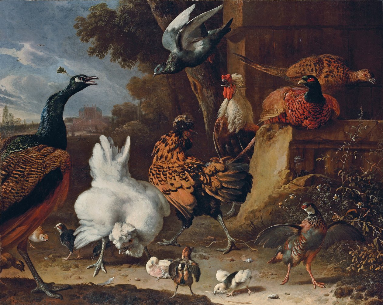 Kohout, slepice, kuřata, koroptev, bažanti, páv a holub u zdi v parku zámečku od Melchior de Hondecoeter
