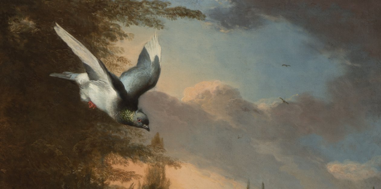 Detail z Menagerie, cca 1680 (olej na plátně) od Melchior de Hondecoeter