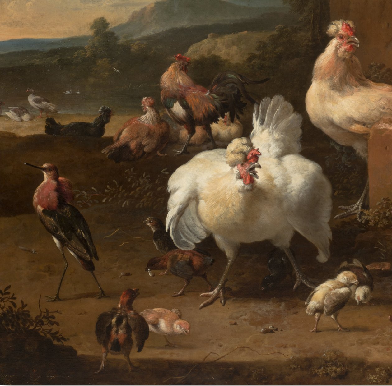 Detail z Menagerie, kolem roku 1680 od Melchior de Hondecoeter