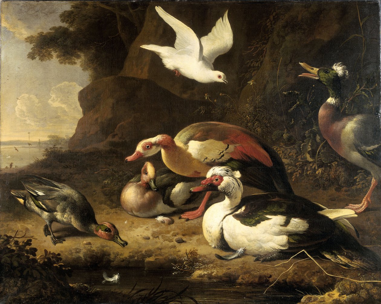  od Melchior de Hondecoeter
