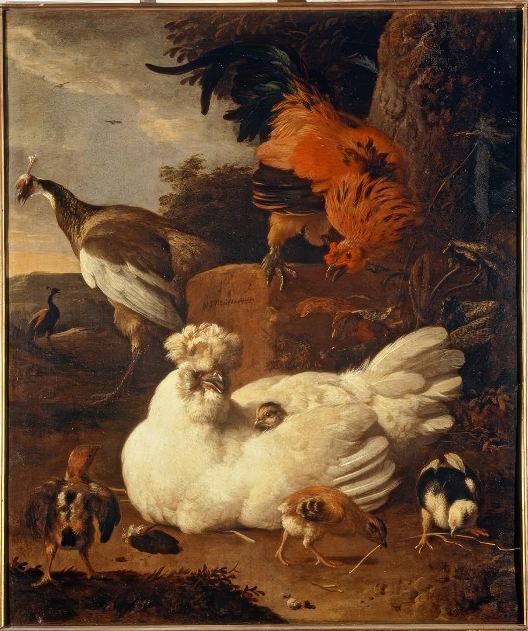 M. de Hondecoeter, matka slepice s kuřaty od Melchior de Hondecoeter