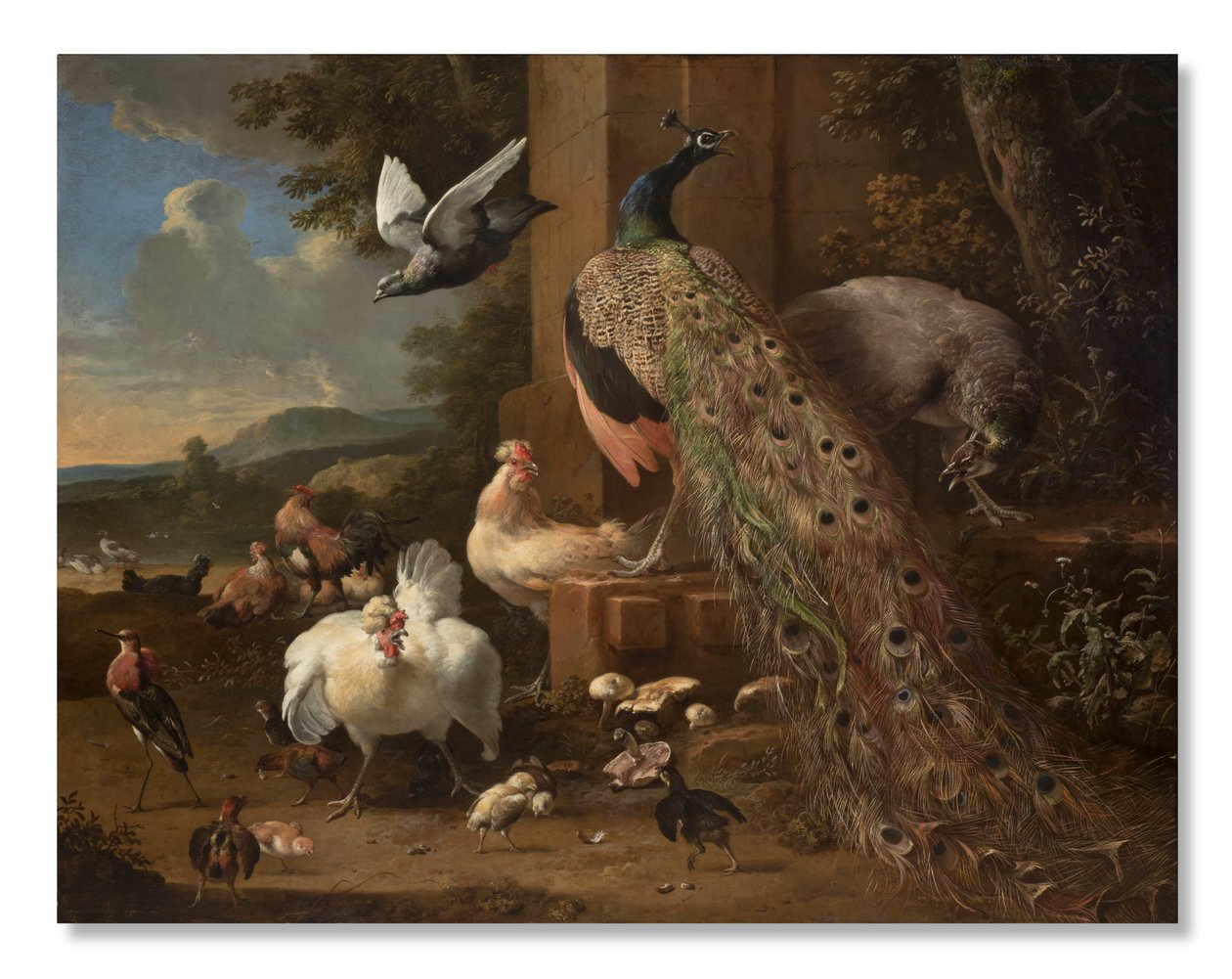 Zvěřinec, kolem roku 1680 od Melchior de Hondecoeter