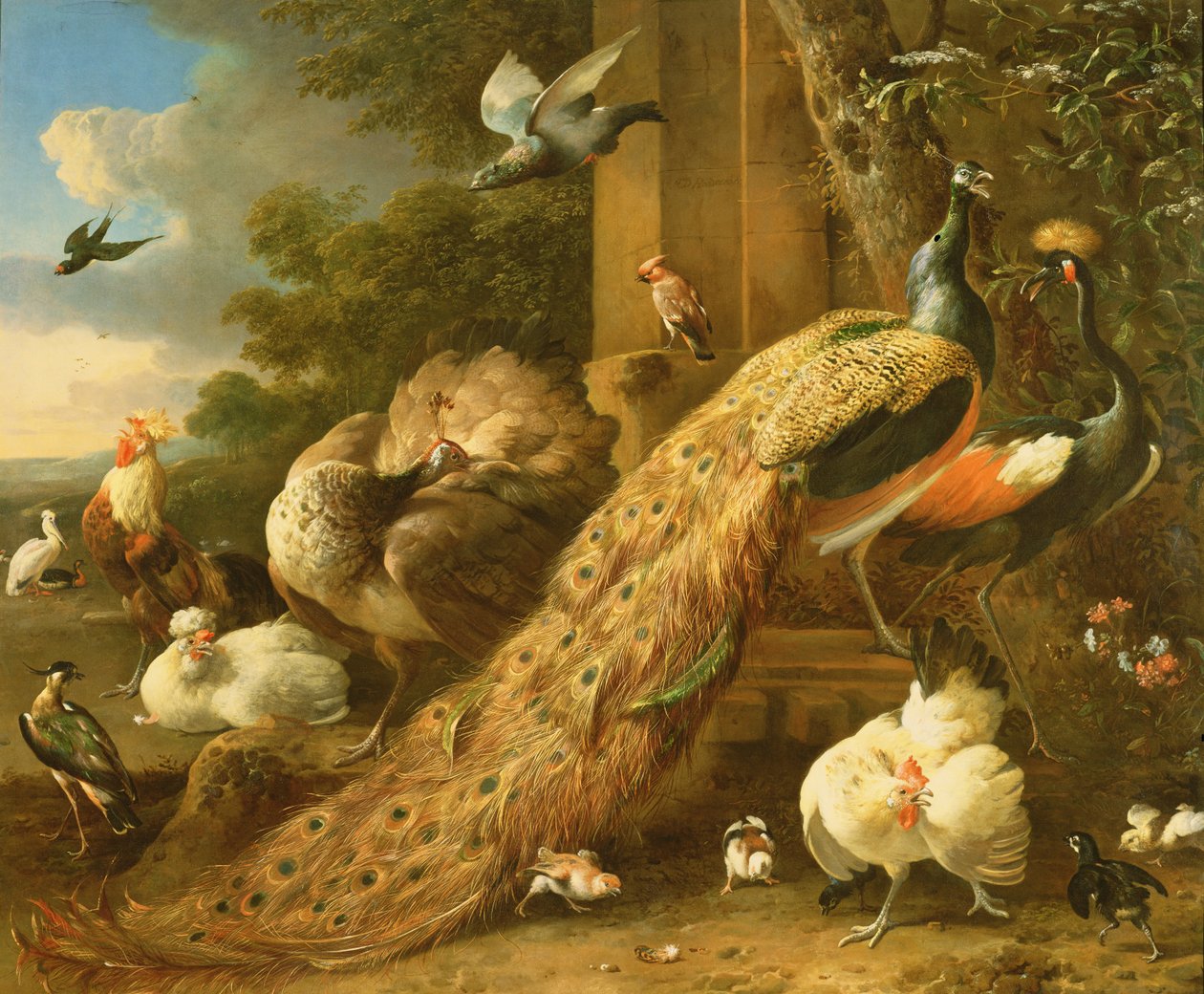 Páv, andulka, pelikán, jeřáb a drůbež od Melchior de Hondecoeter