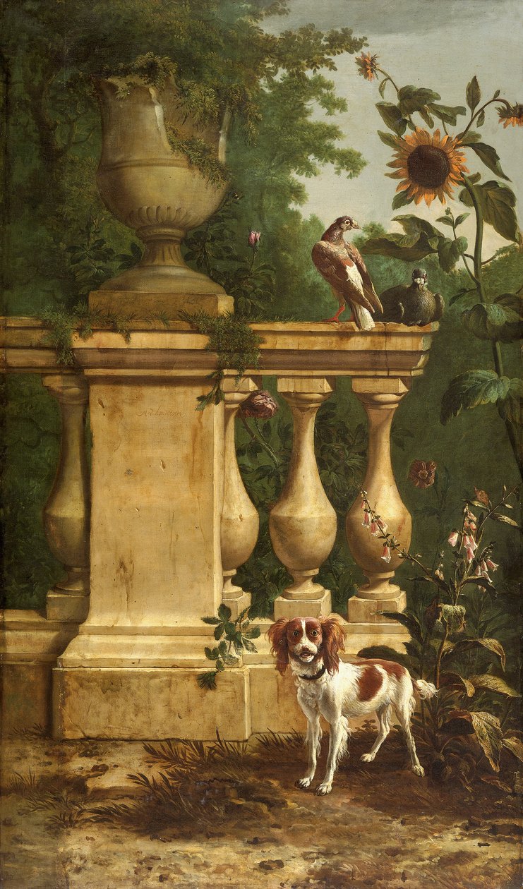  od Melchior de Hondecoeter