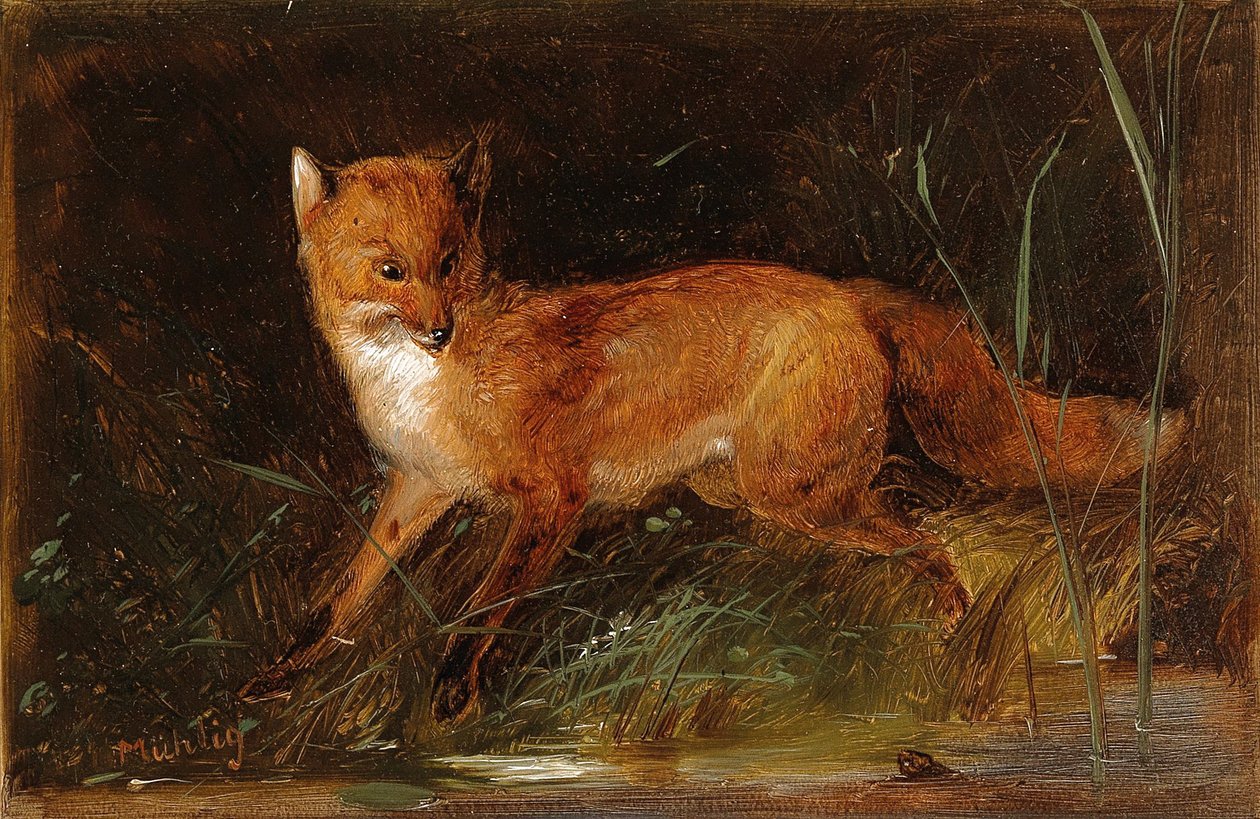 Meno Mühlig Fuchs od Meno Muhlig