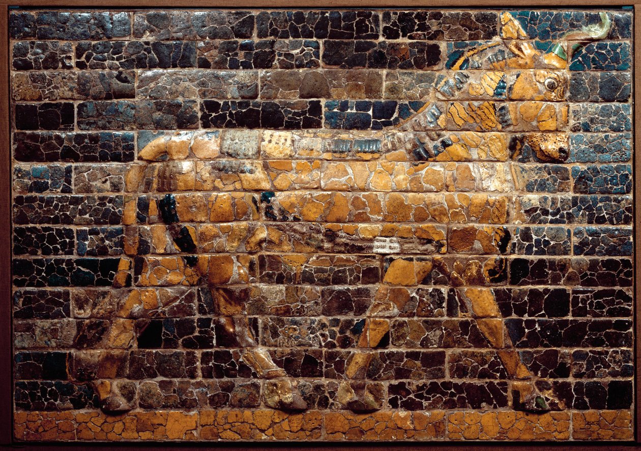 Mezopotámie: „“ býk v pohybu“““. Smaltované dlaždice z Ištařiny brány. Babylon (Irák) v době krále Nabuchodonozora II. Národní irácké muzeum Irák od Mesopotamian Mesopotamian