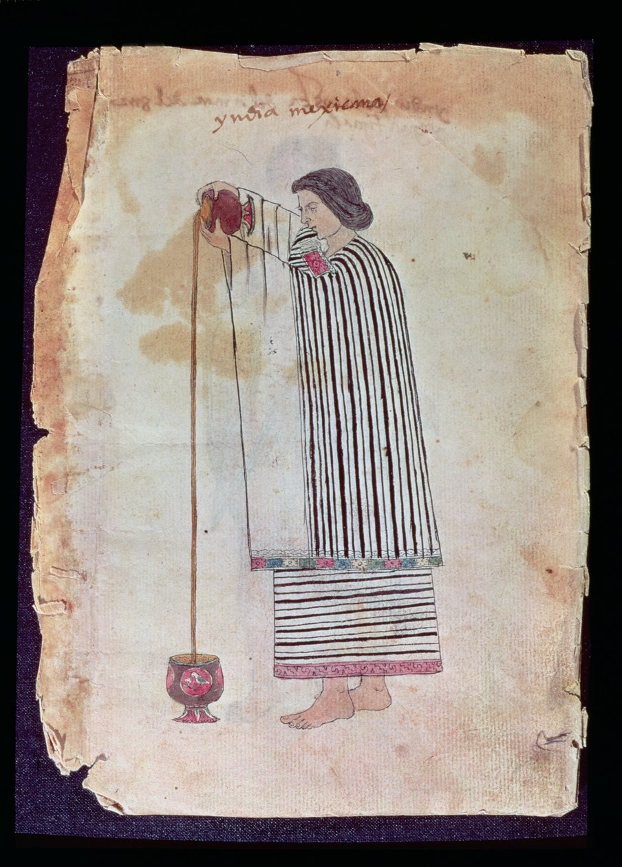 Mexický indián připravující čokoládu, z kodexu Tuleda, 1553 od Mexican School