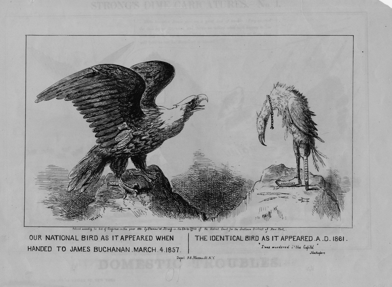 Náš národní pták, publikoval 1861 od Michael Angelo Woolf
