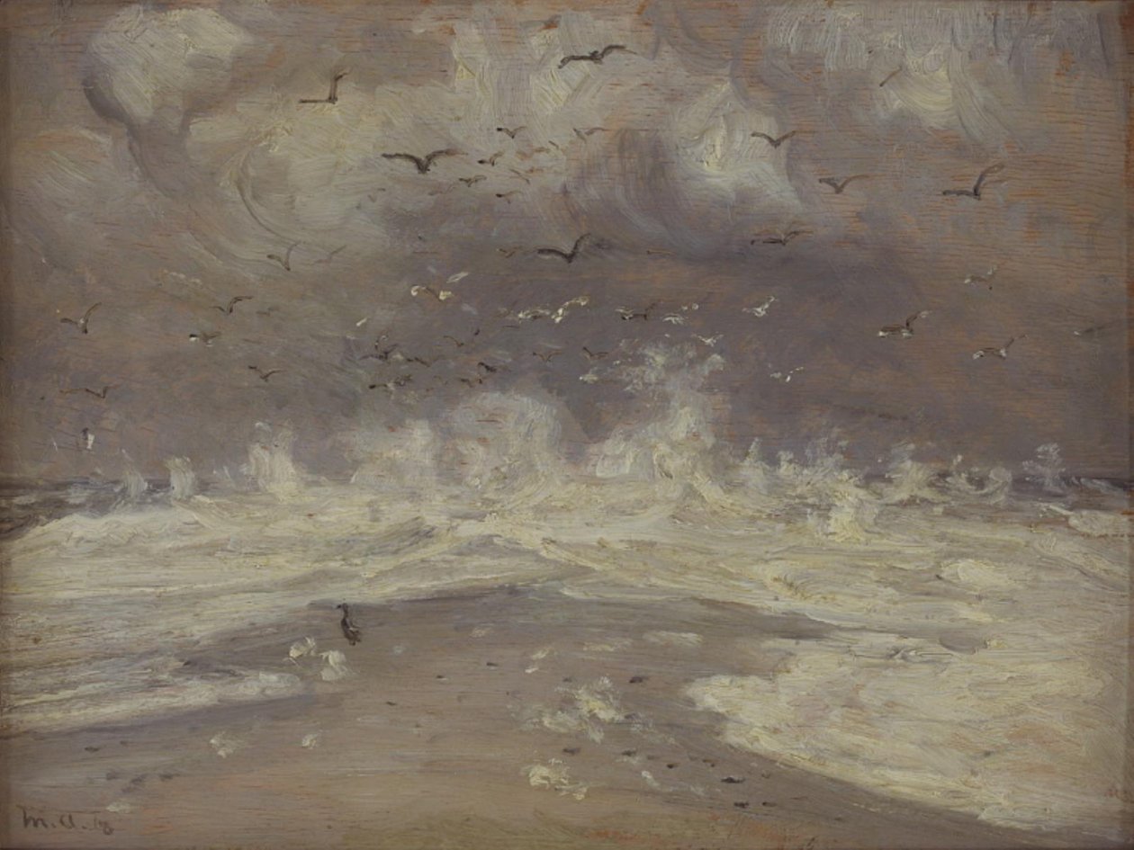 Surfujte na severním pobřeží Jutska od Michael Ancher