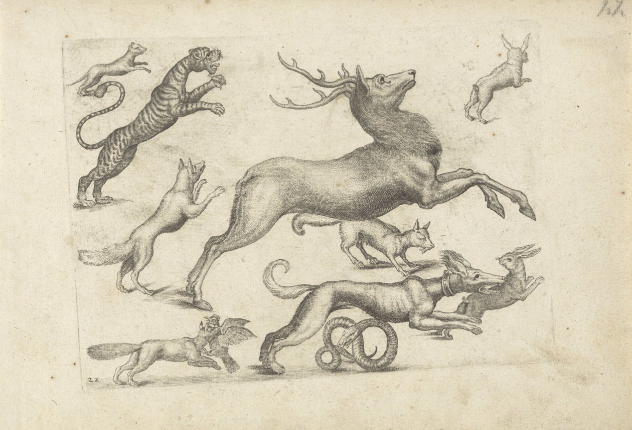 Studijní list s ukázkami kreslení: různá zvířata od Michael Snijders (attributed to)
