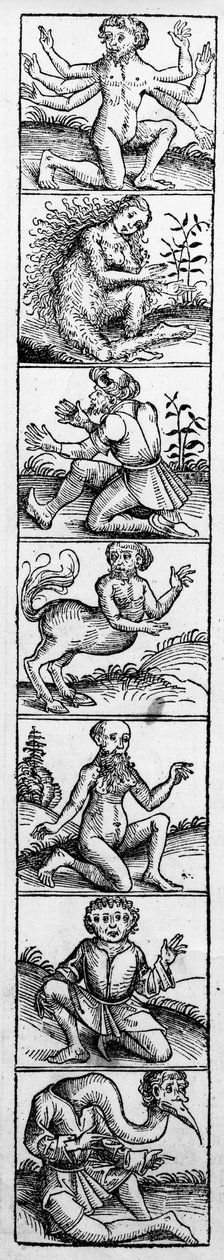 Monstra z „Norimberské kroniky“ od Hartmanna Schedela, vydané v roce 1493 od Michael Wolgemut