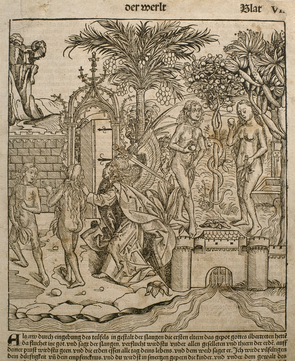 Adam a Eva, ilustrace z „Liber Chronicarum“ od Hartmanna Schedela (1440-1514) vydaného v Norimberku, 1493 od Michael and Pleydenwurff, W. Wolgemuth