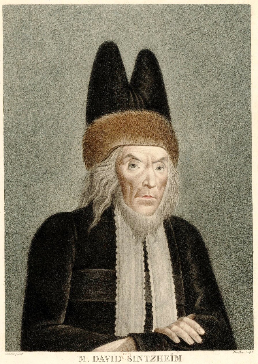 Portrét Davida Sintzheima 1745-1812, 19. století. od Michel François Damame Demartrais