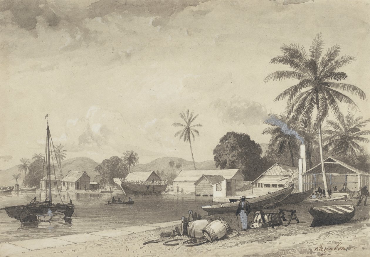 Corbeaux Town, přístav Španělska od Michel Jean Cazabon