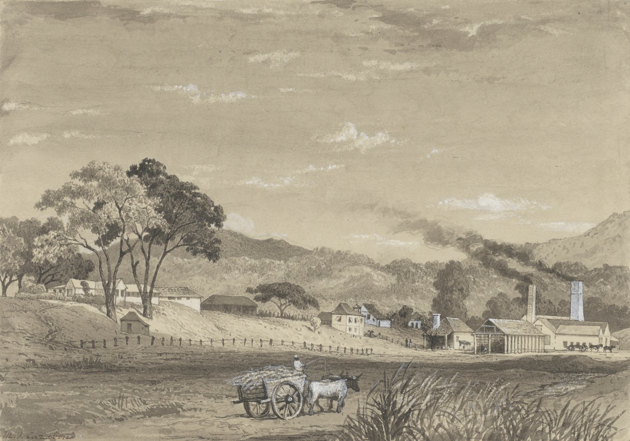 Garden Estate, Arouca od Michel Jean Cazabon