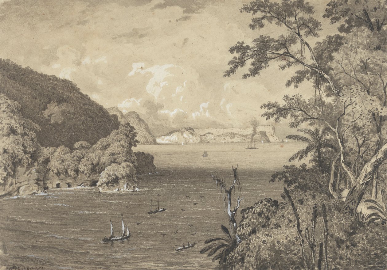 Bocas ze staré pevnosti, Macqueripe od Michel Jean Cazabon