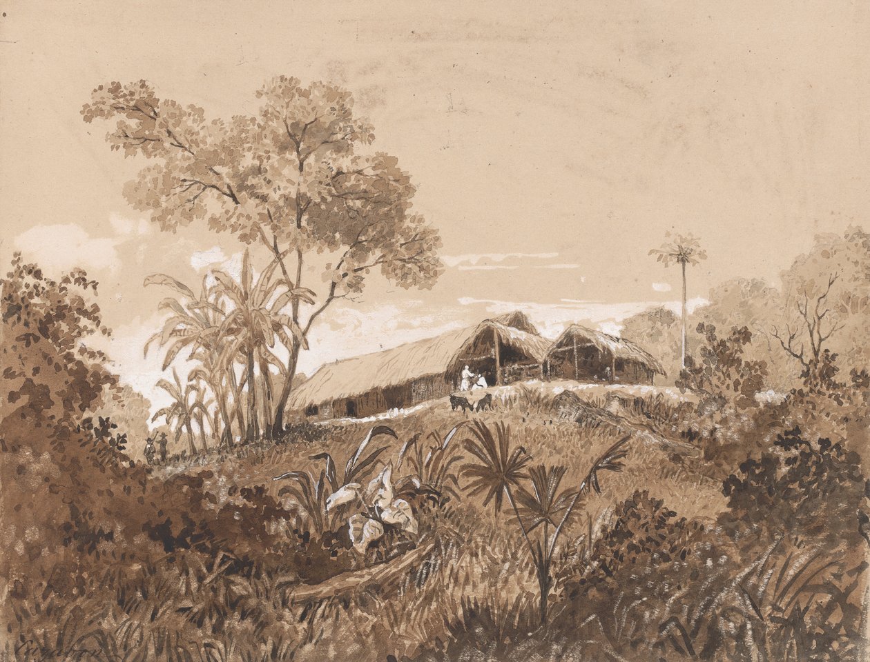 Chata, Mount Tamana od Michel Jean Cazabon