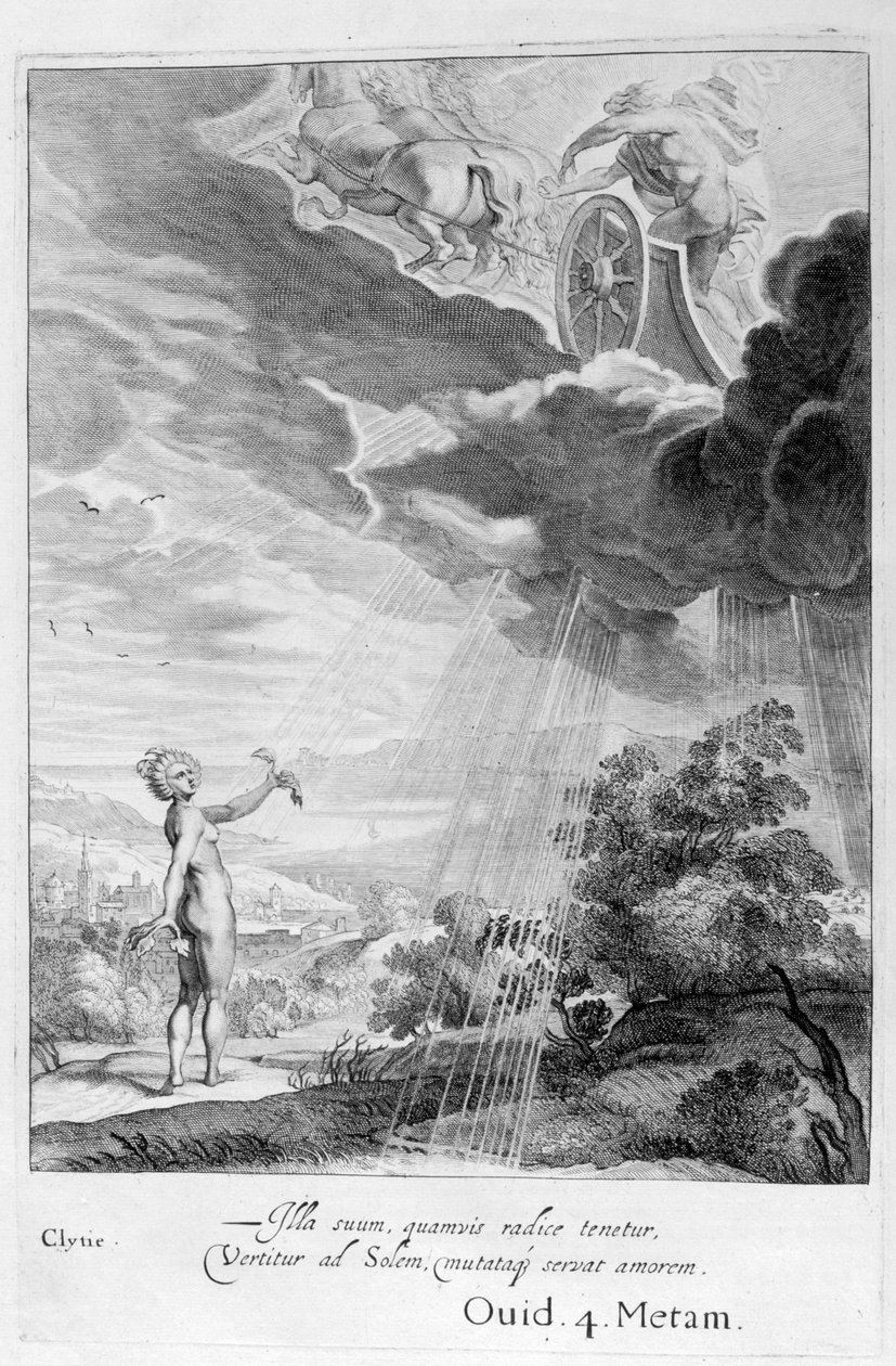 Clytie se proměnila ve slunečnici, 1655 od Michel de Marolles