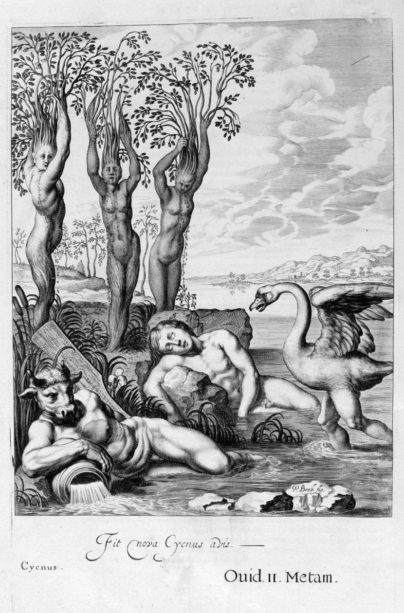 Cygnus se proměnil v labuť a sestry Phaetonovy v topoly, 1655 od Michel de Marolles
