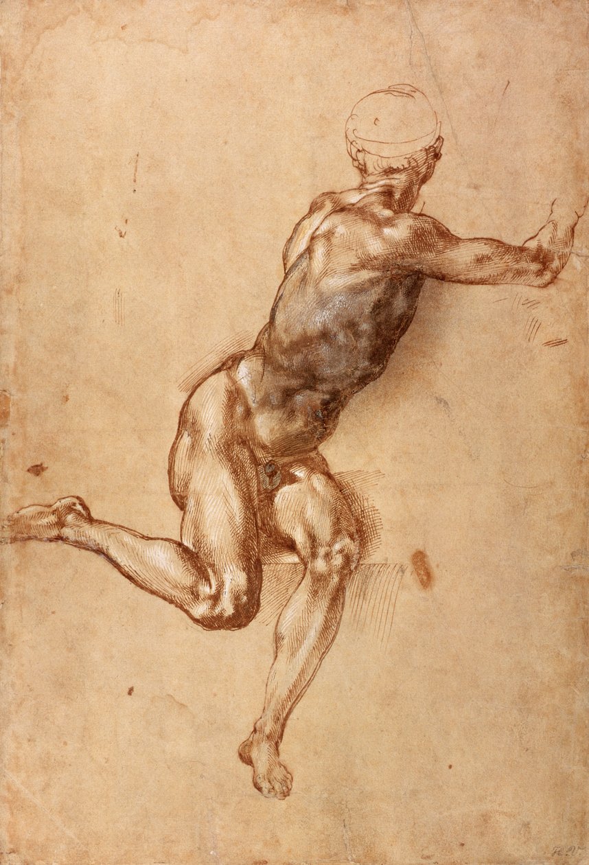 Sedící mužský akt točící se kolem, cca 1505 (pero a inkoust s perem na papíře) od Michelangelo Buonarroti