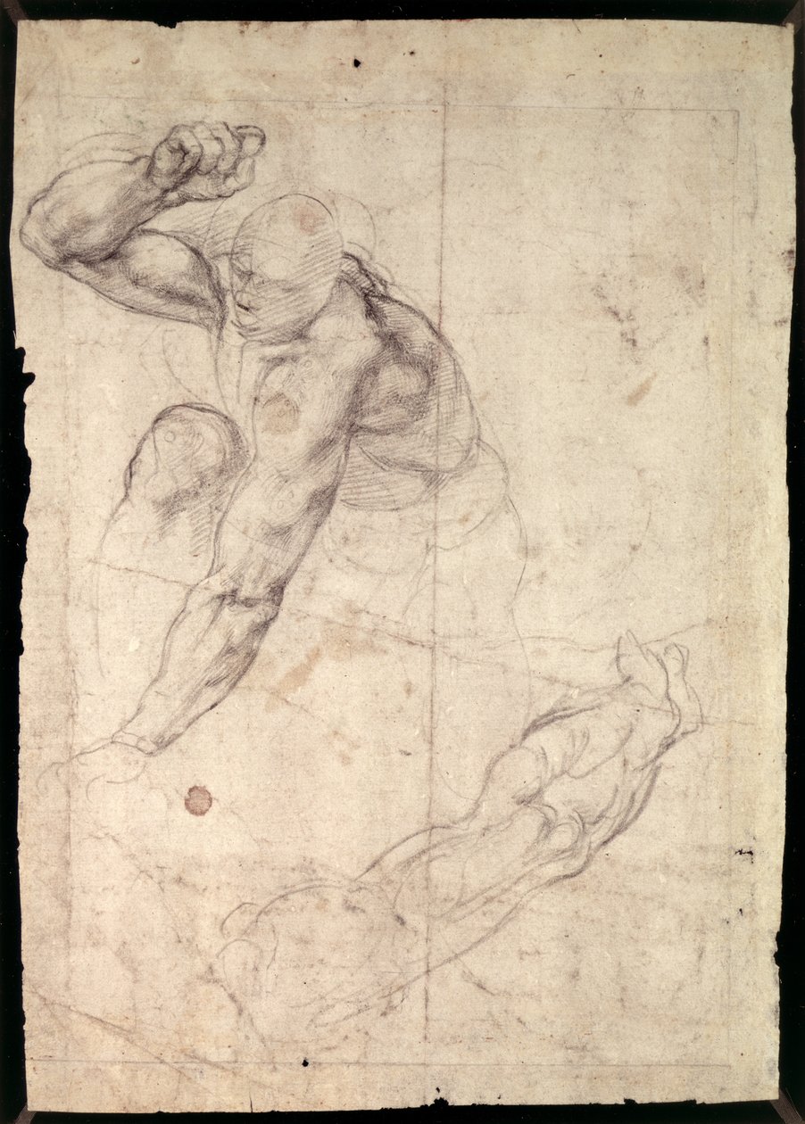 Studie mužské postavy od Michelangelo Buonarroti