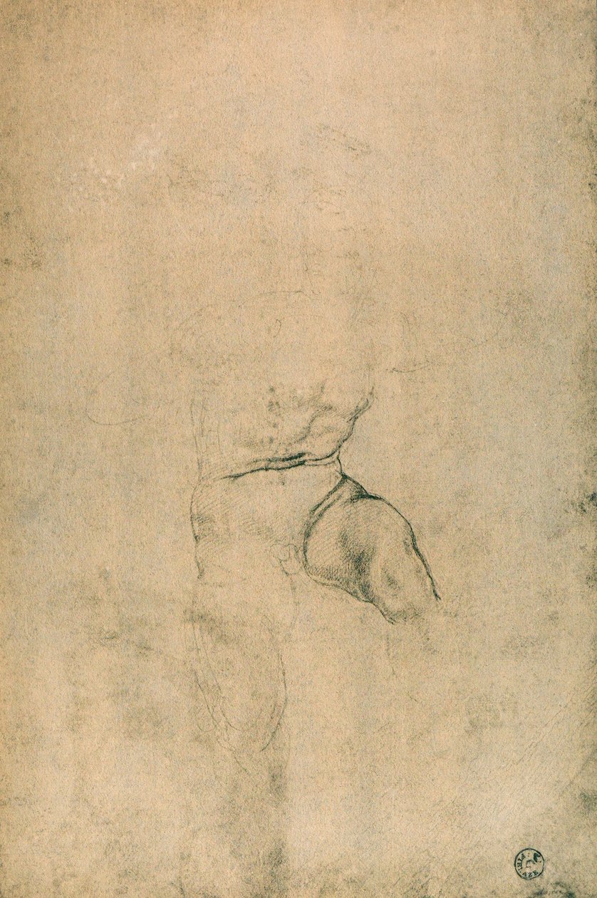 Mužský akt, studie Michelangelo. Kabinet kreseb a tisků, Galerie Uffizi, Florencie od Michelangelo Buonarroti