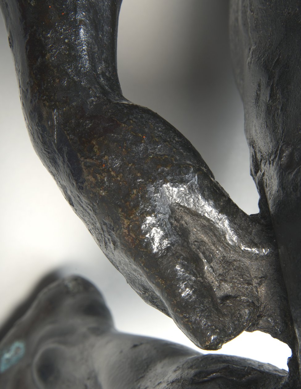 Nahé bačantky jezdící na panterech od Michelangelo Buonarroti