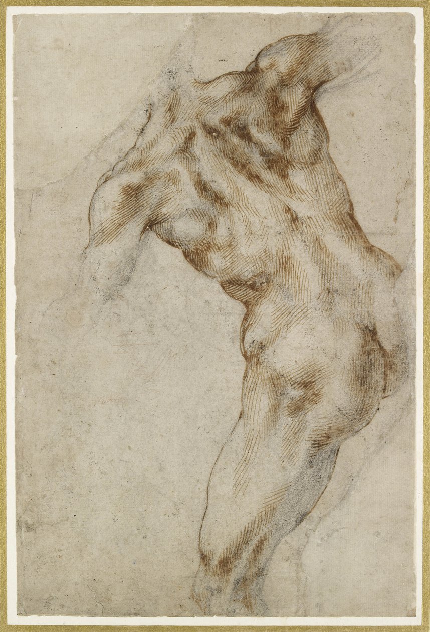 Nahý mužský trup od Michelangelo Buonarroti