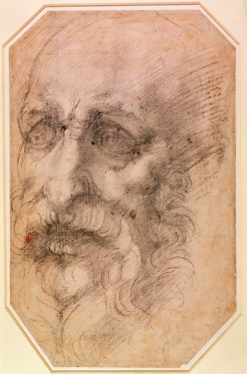 Portrét vousatého muže (černá křída na papíře) (recto) (obr. 191768) od Michelangelo Buonarroti