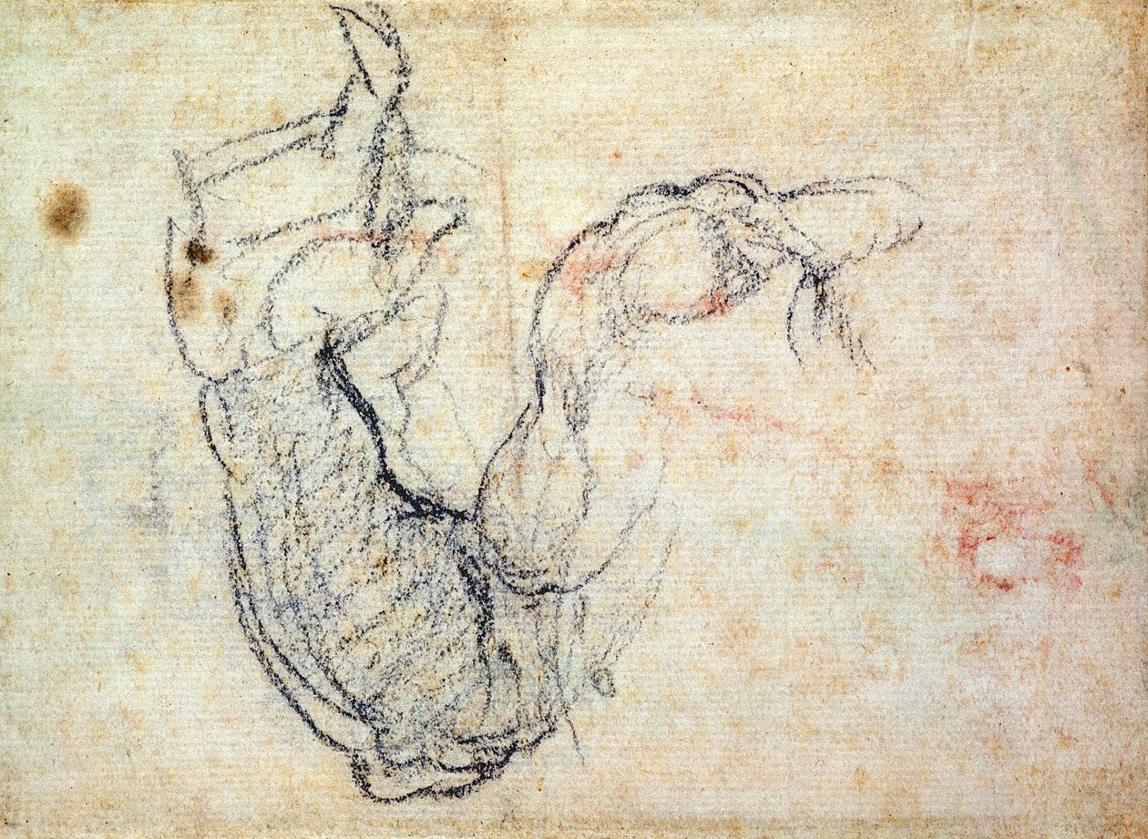 Přípravná studie pro paži Kristovu při posledním soudu, 1535-41 (černá křída na papíře) (recto) od Michelangelo Buonarroti