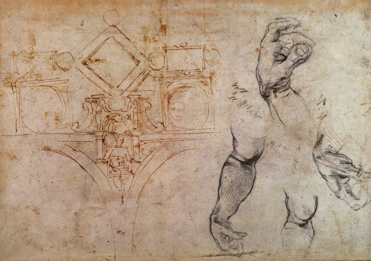 Schéma stropu Sixtinské kaple, asi 1508 (pero, tuš a křída na papíře) od Michelangelo Buonarroti