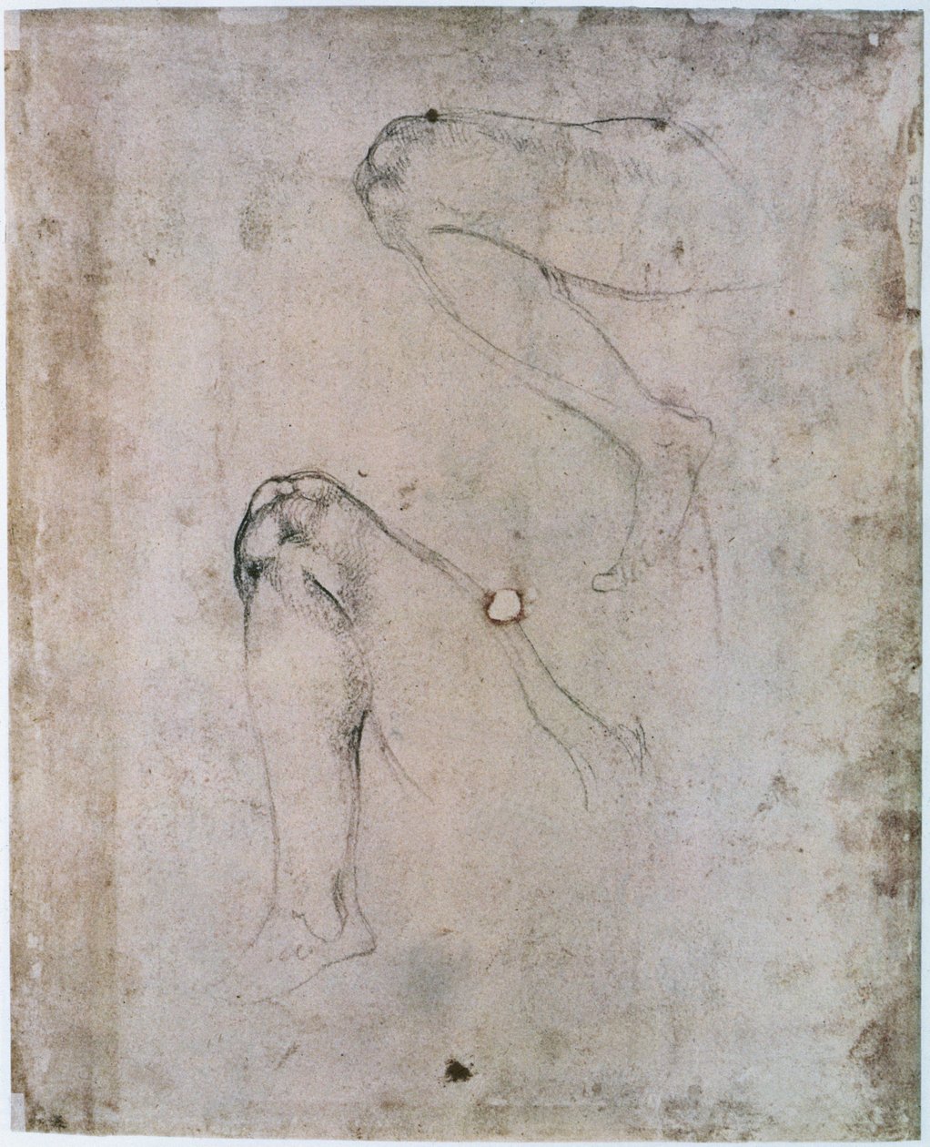 Strop Sixtinské kaple (1508-12): Dva náčrty pravé nohy Evy ze scény Dědičného hříchu (uhl na papíře) od Michelangelo Buonarroti