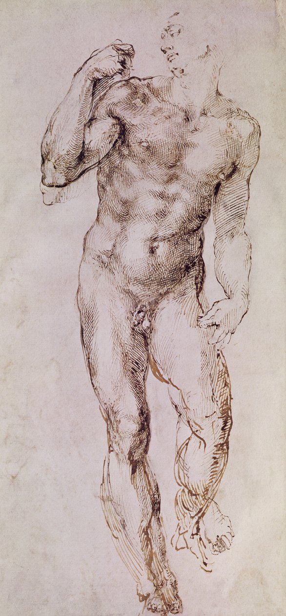 Náčrt Davida s prakem, 1503-4 od Michelangelo Buonarroti