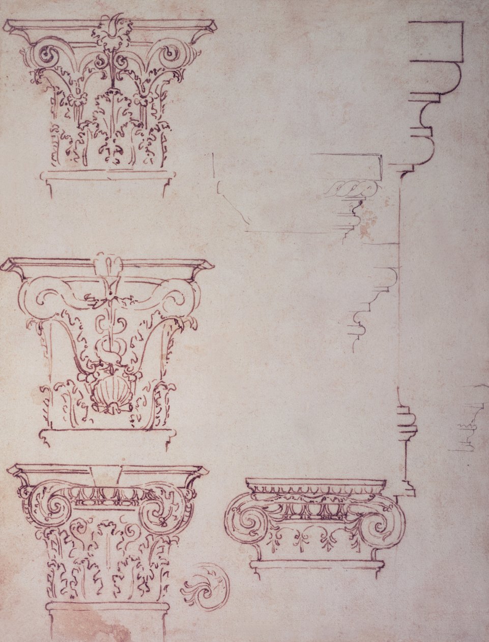 Studie pro kapitál (hnědý inkoust) od Michelangelo Buonarroti