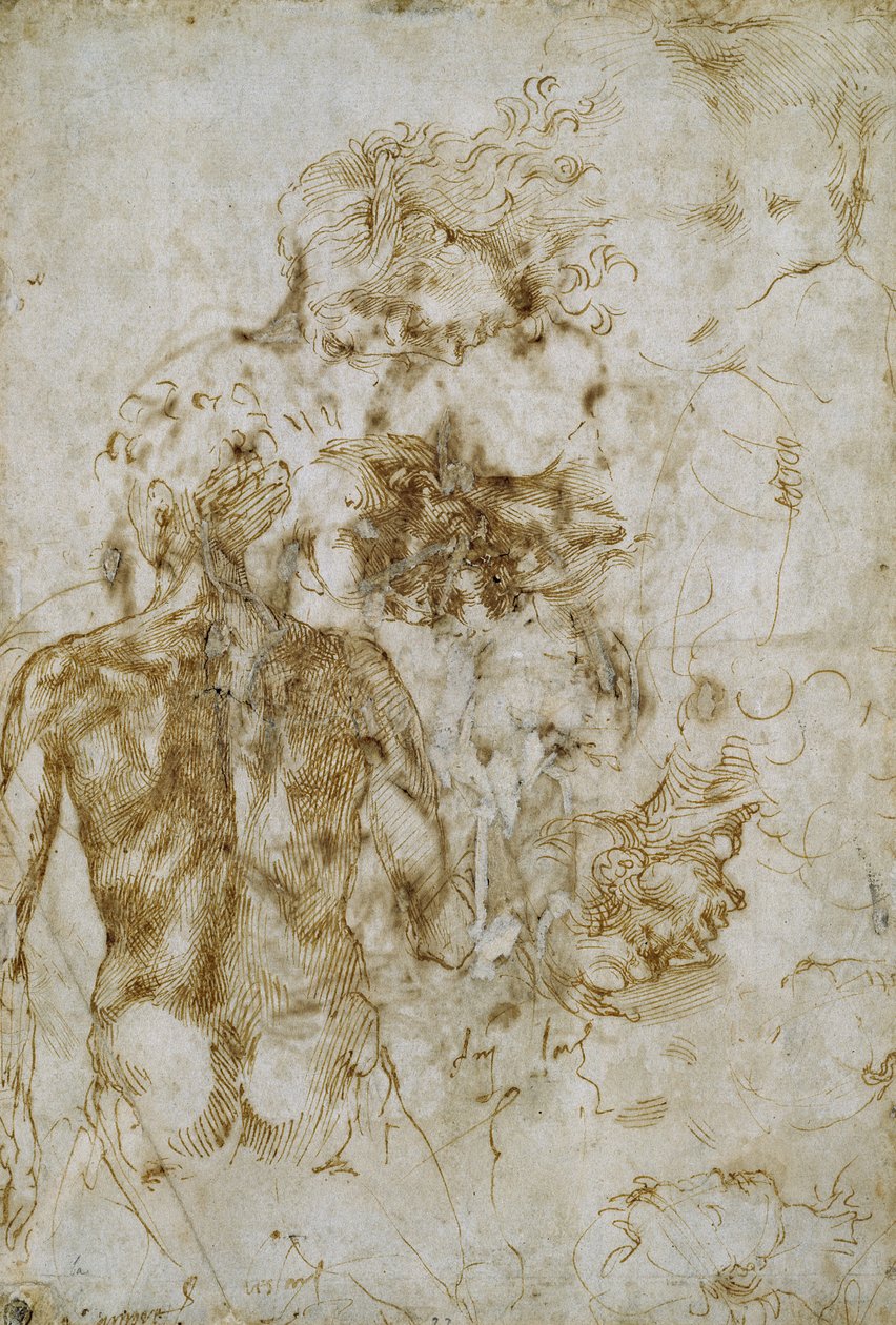 Studie mužského aktu od Michelangelo Buonarroti