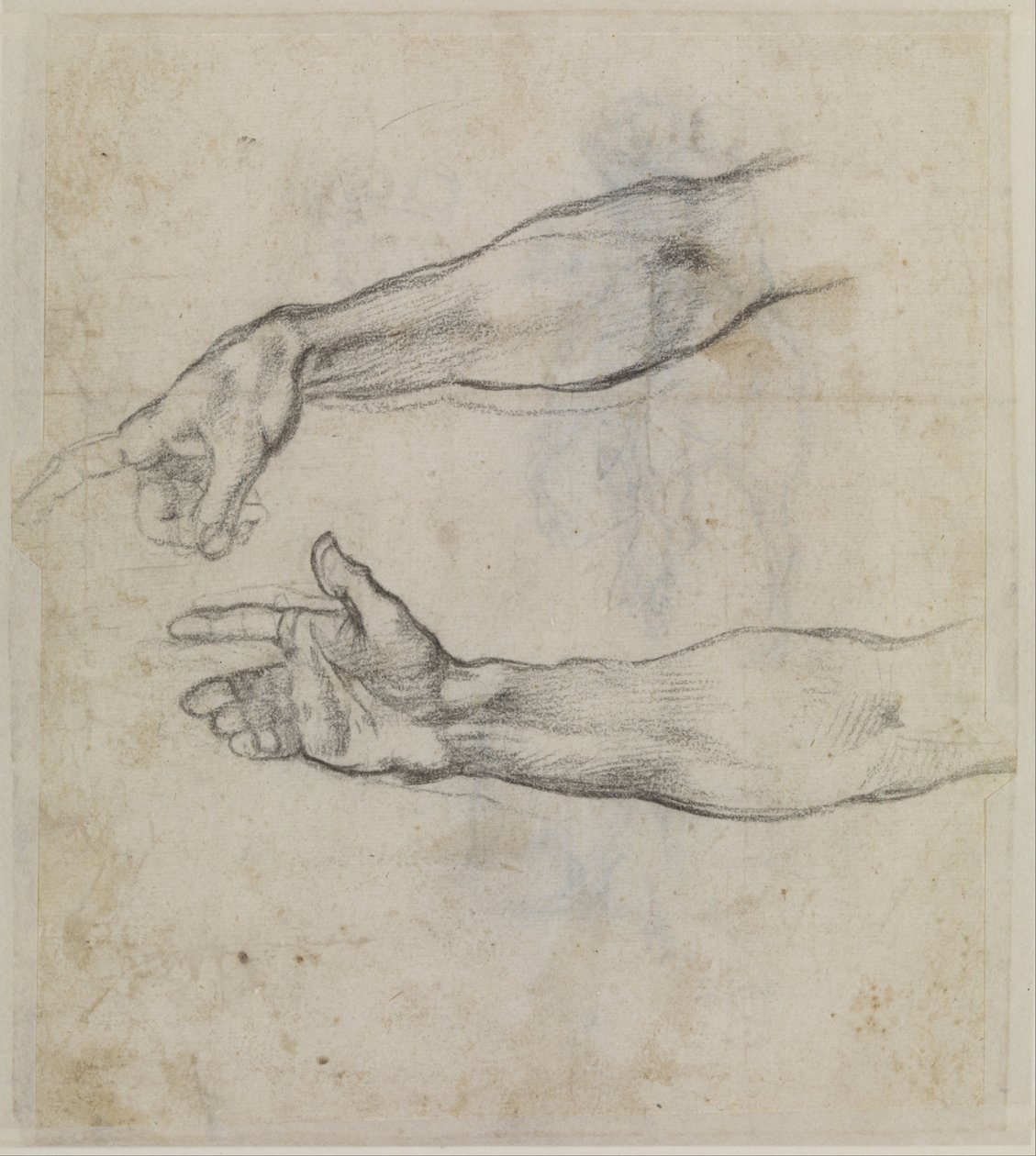 Studie natažené paže pro fresku Opilost Noeho v Sixtinské kapli od Michelangelo Buonarroti