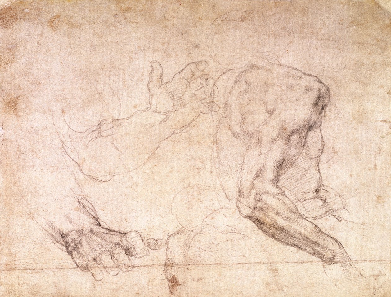 Studie rukou a paží (černá křída na papíře) (verze) od Michelangelo Buonarroti