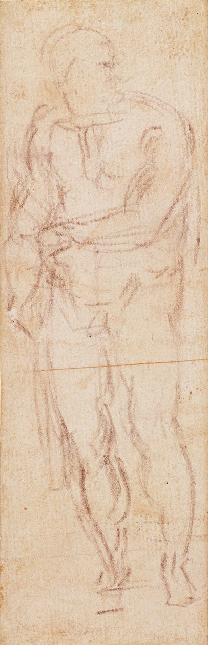 Studie pro Adama v 