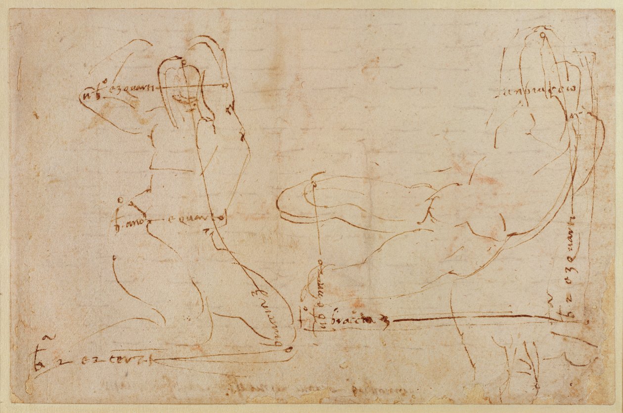 Studium pro boha řeky od Michelangelo Buonarroti