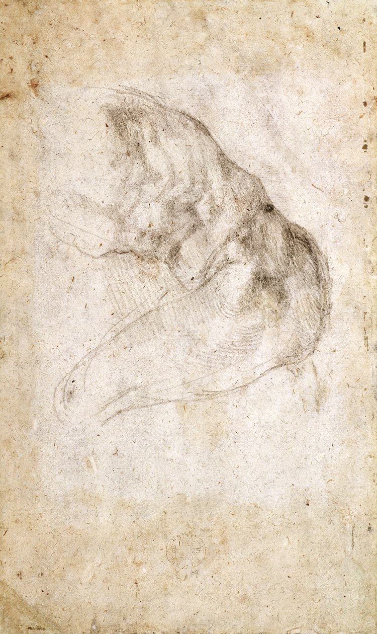 Studie ke stvoření Adama (černá křída na papíře) (verze) (obrázek viz 191766) od Michelangelo Buonarroti