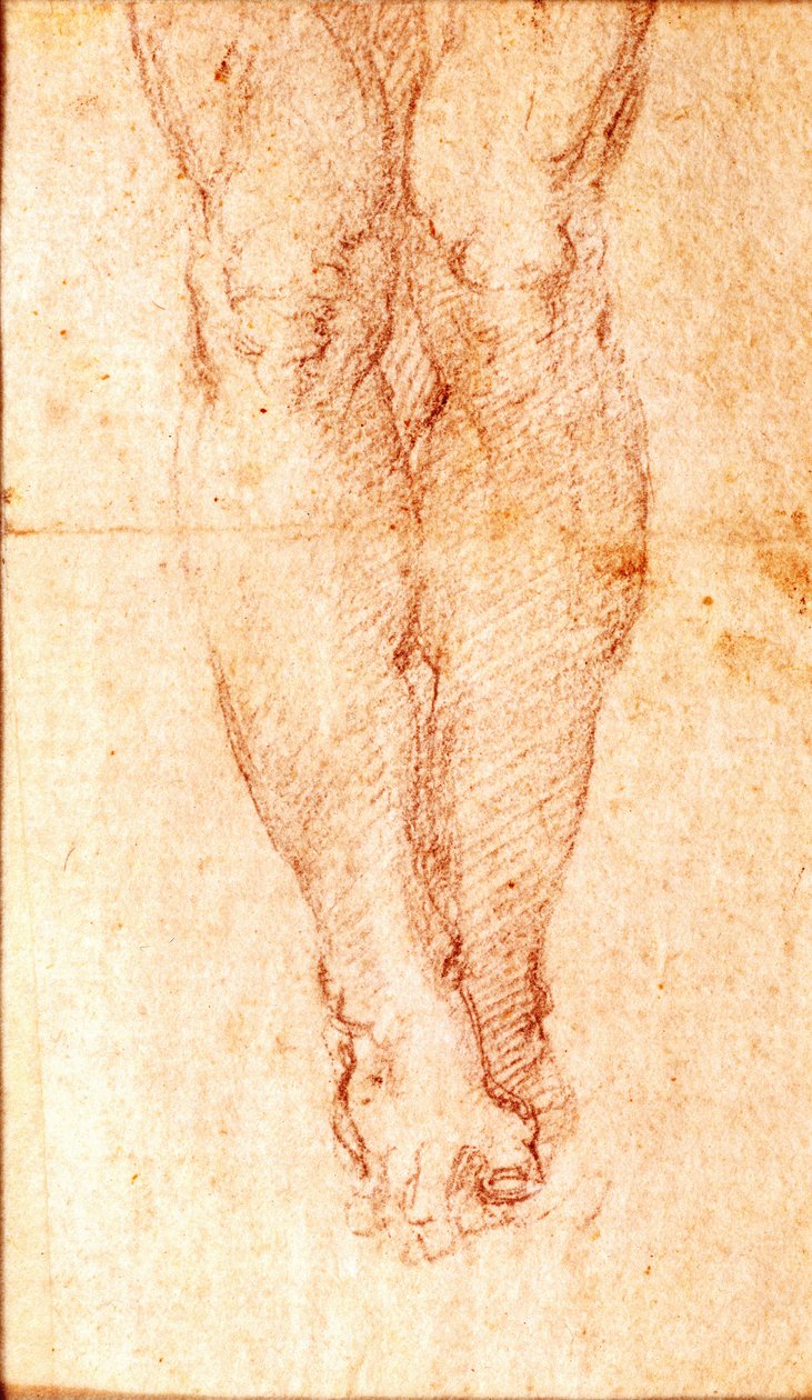 Studie na ukřižování (černá křída na papíře) od Michelangelo Buonarroti